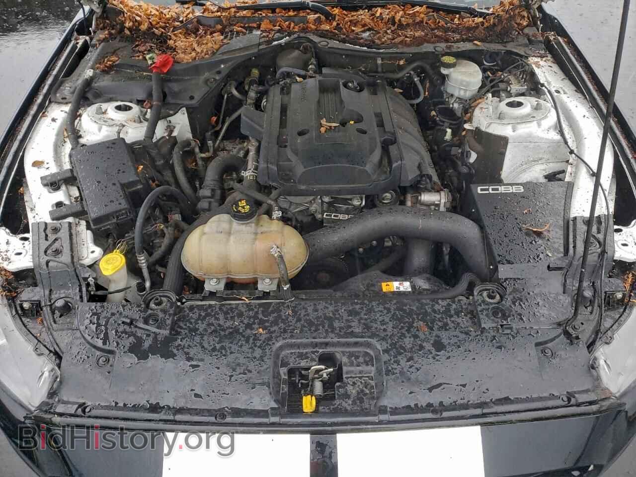 2017 FORD ALL Models - VIN: 1FA6P8THXH5320128 - Фото 11