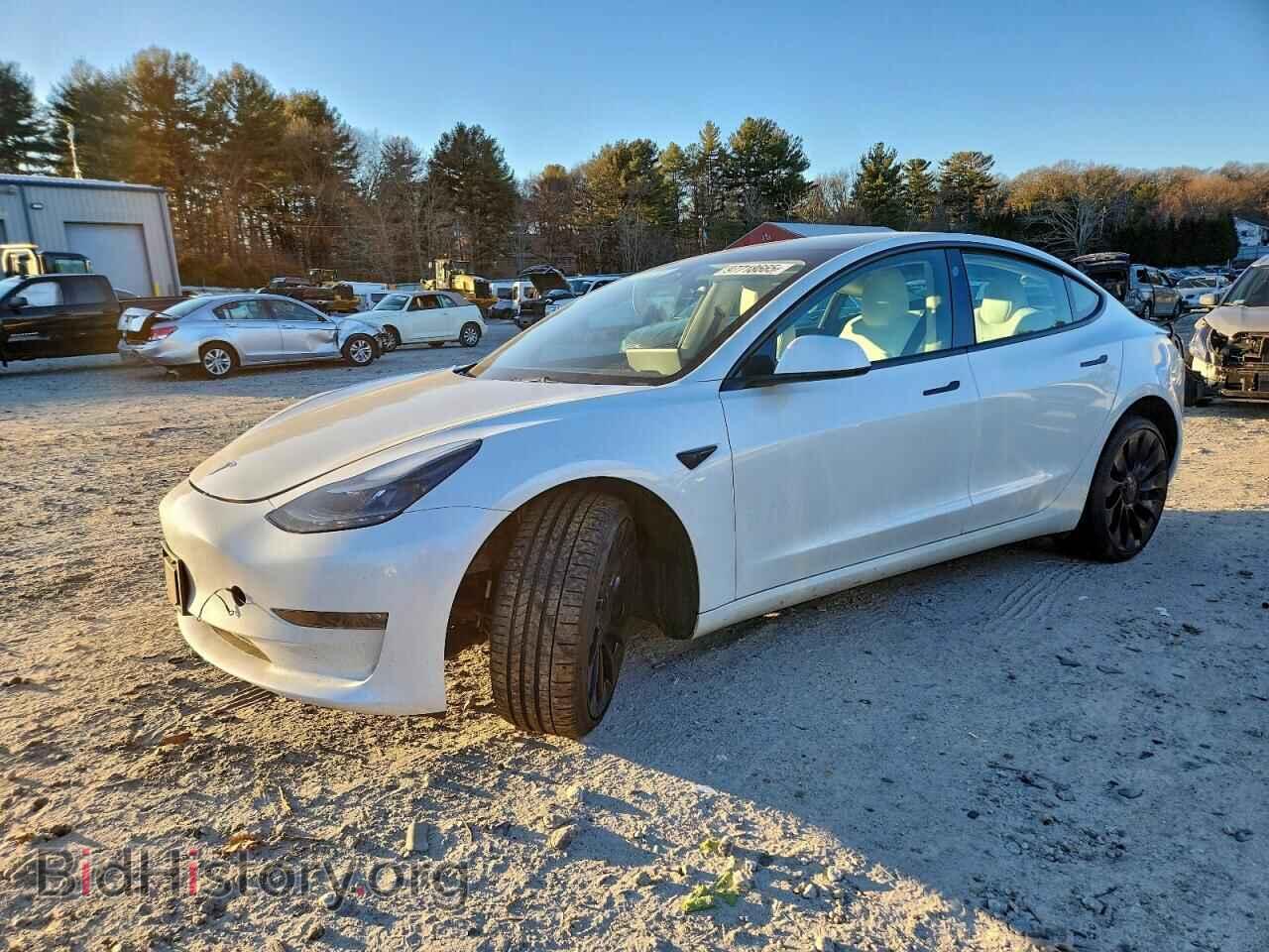 Photo 5YJ3E1ECXPF480681 - TESLA MODEL 3 2023