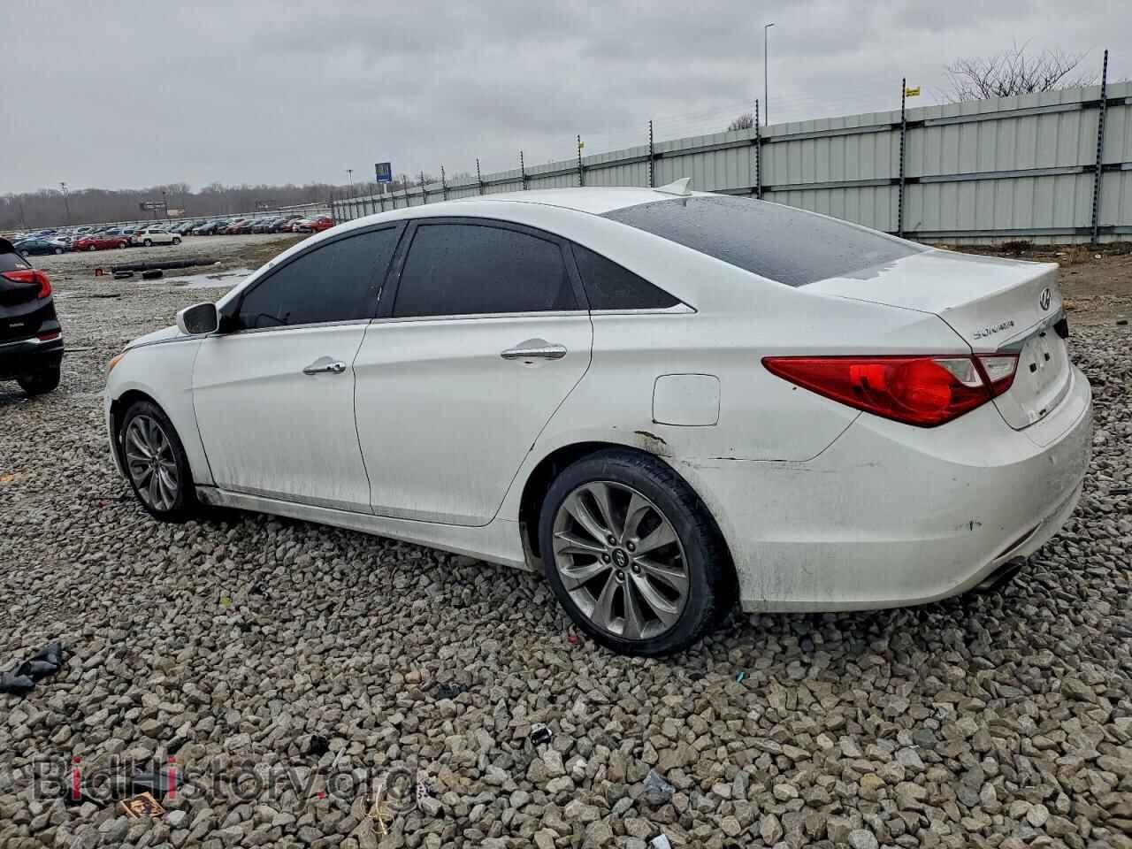 2013 HYUNDAI SONATA - VIN: 5NPEC4AC6DH645614 - Фото 2