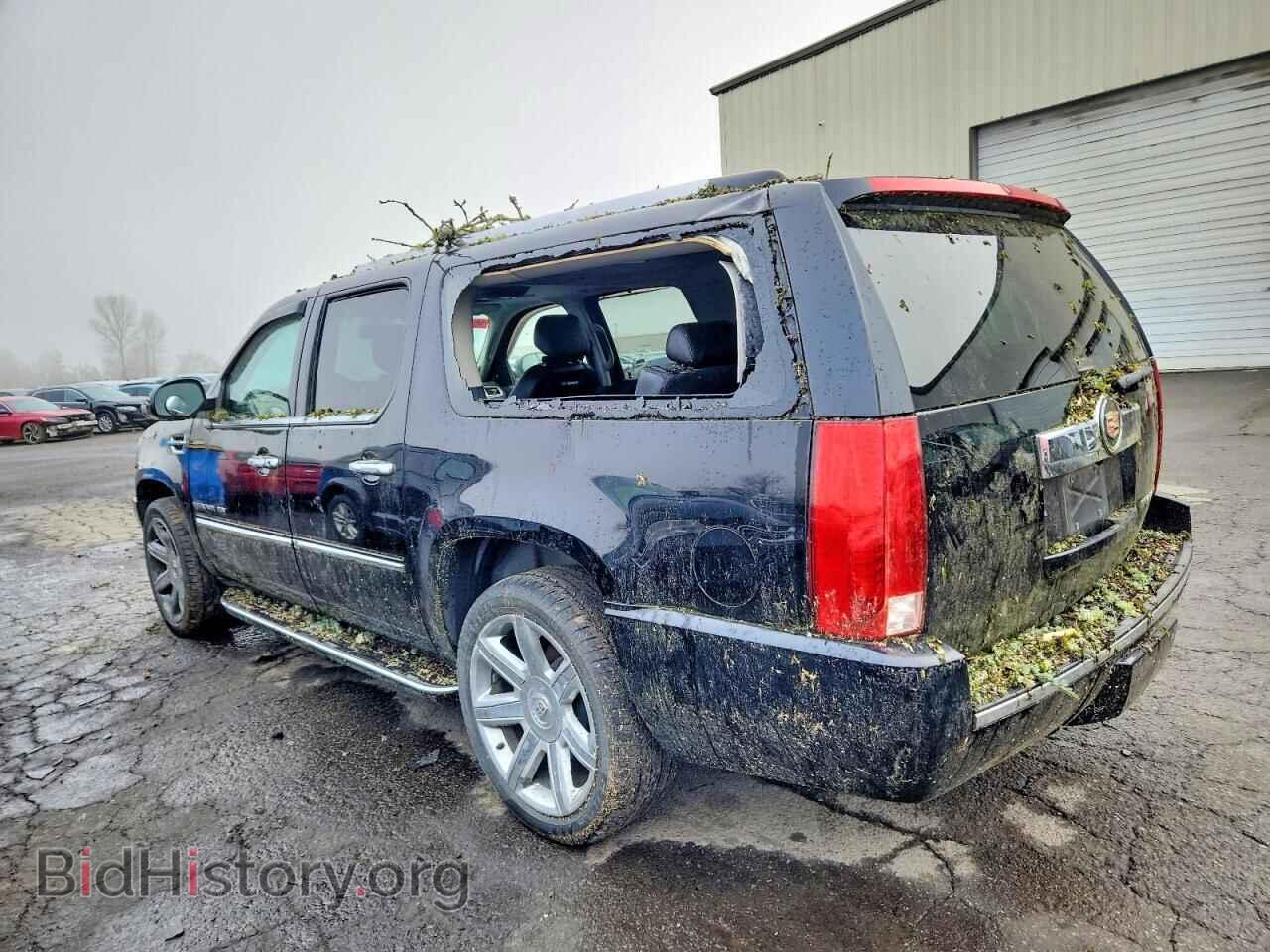 2013 CADILLAC ESCALADE - VIN: 1GYS4HEF9DR292588 - Фото 2