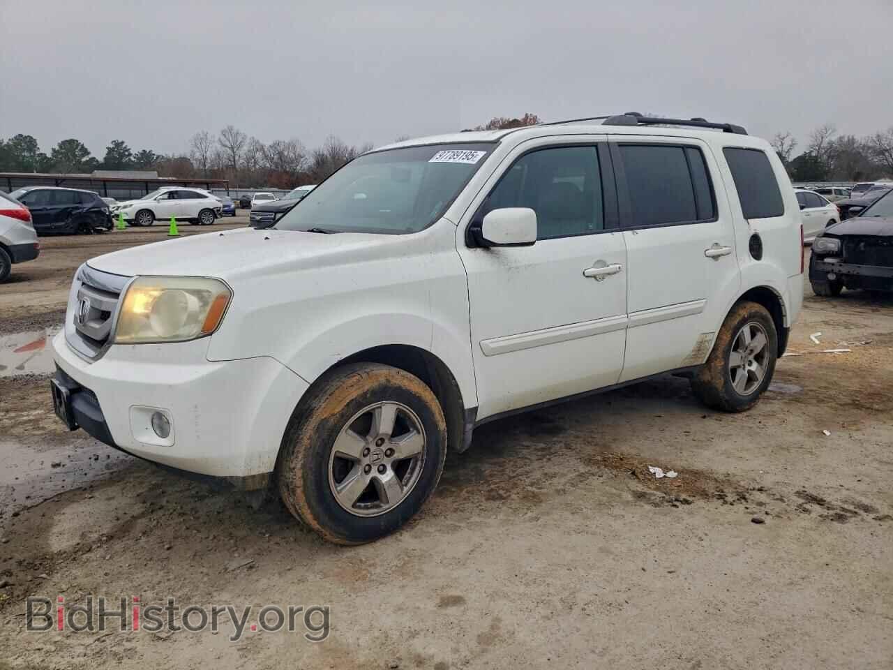 Photo 5FNYF3H51BB019552 - HONDA PILOT 2011