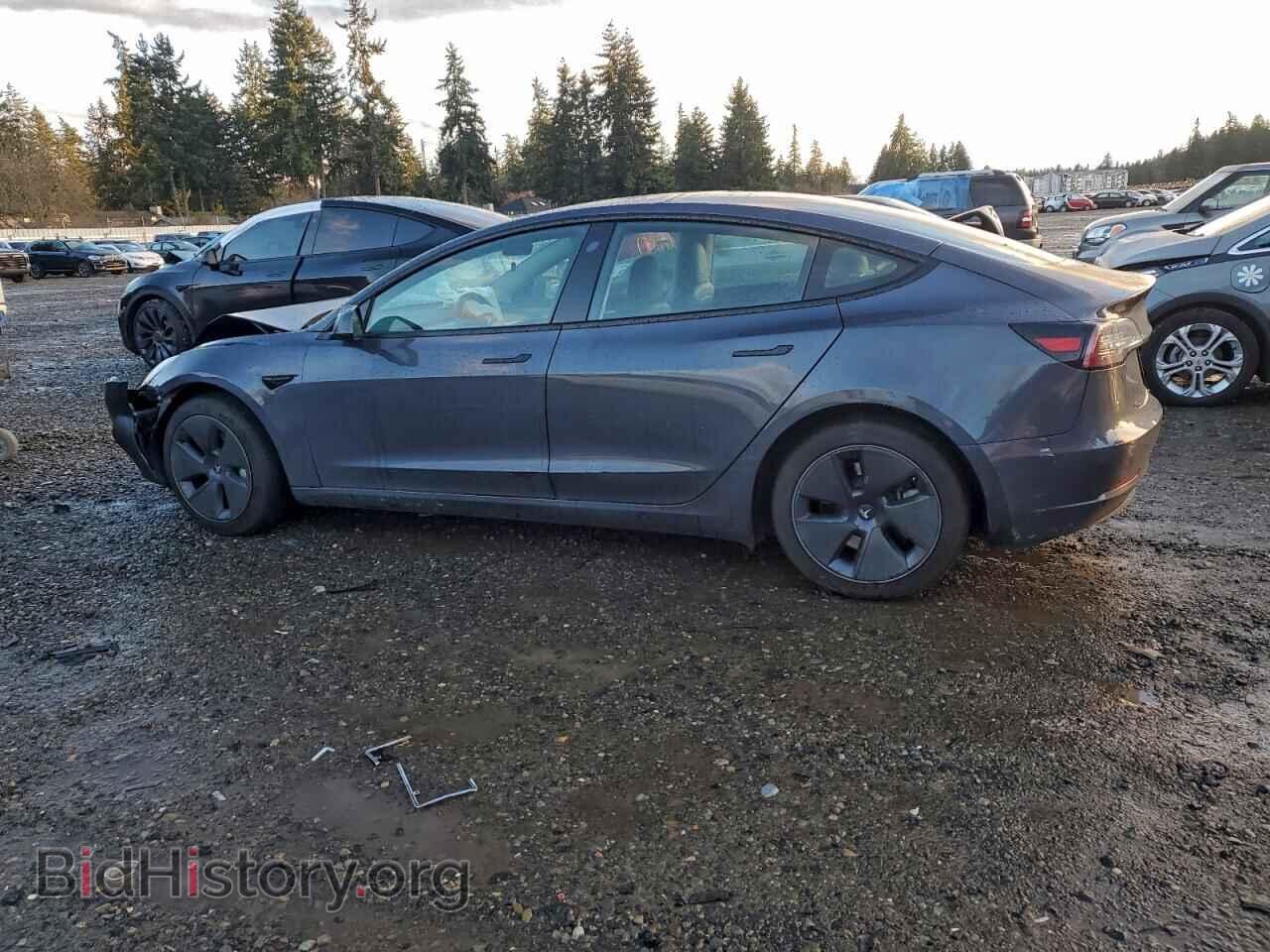 2023 TESLA MODEL 3 - VIN: 5YJ3E1EA5PF417891 - Photo 2