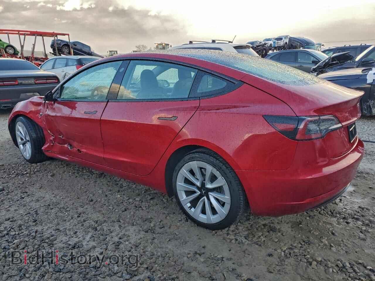 2023 TESLA MODEL 3 - VIN: 5YJ3E1EA8PF454546 - Photo 2
