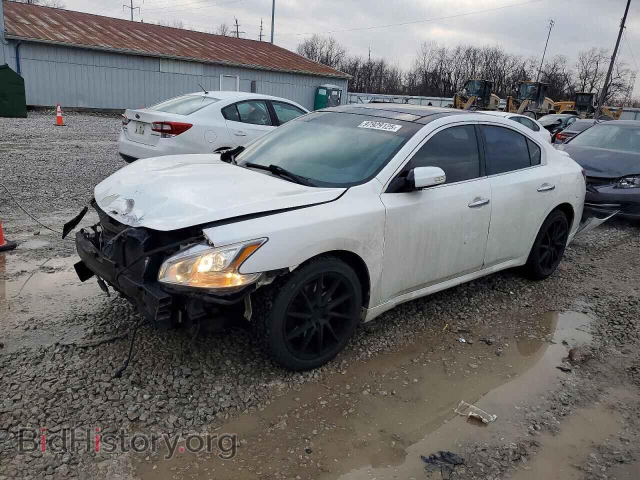 Photo 1N4AA5AP1AC847609 - NISSAN MAXIMA 2010