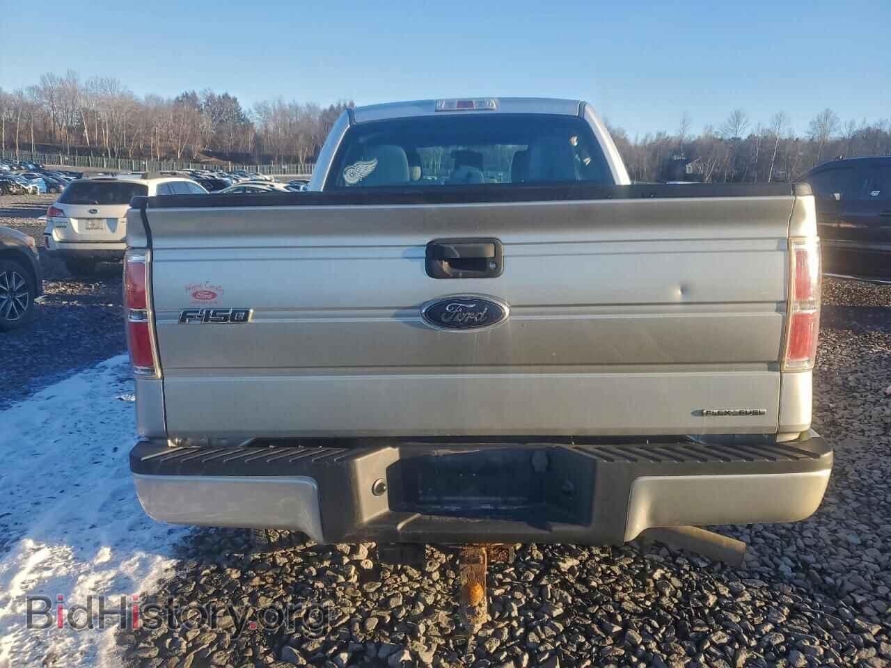 2013 FORD F-150 - VIN: 1FTFX1EF7DFD44386 - Фото 6