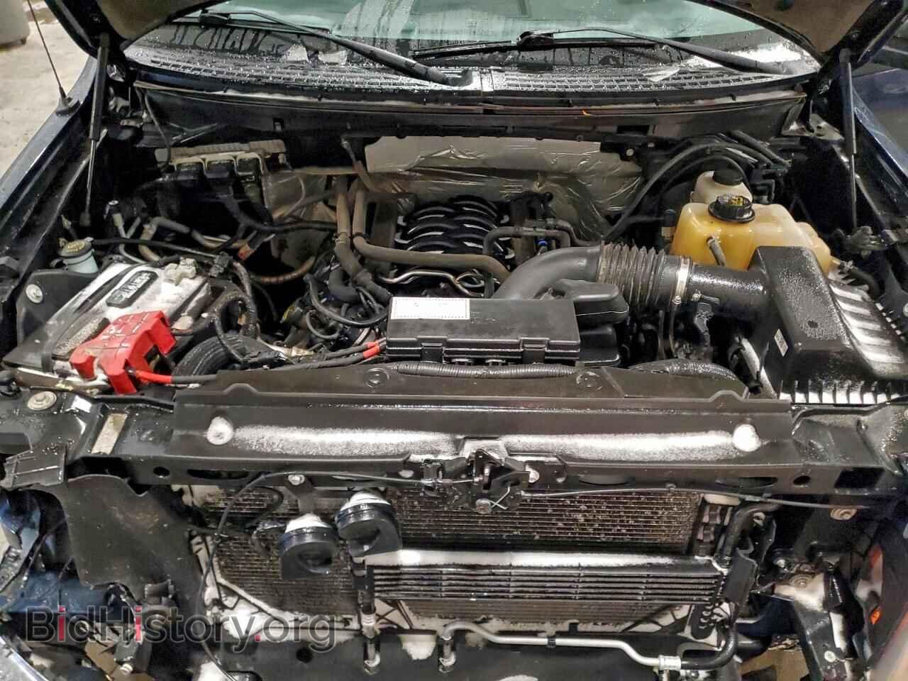 2013 FORD F-150 - VIN: 1FTFW1EF9DKF96960 - Фото 11