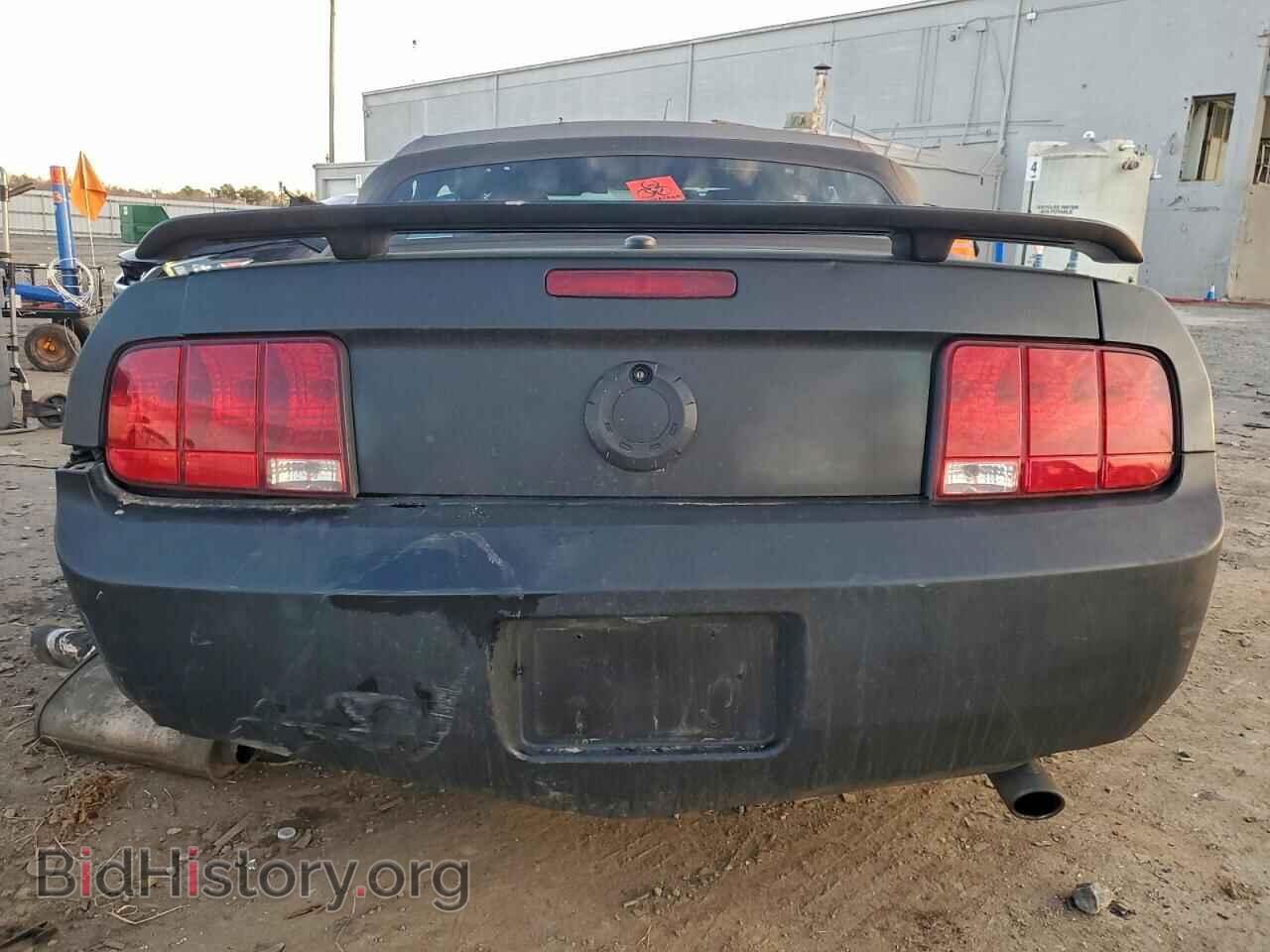 2008 FORD MUSTANG - VIN: 1ZVHT85H885125685 - Фото 6