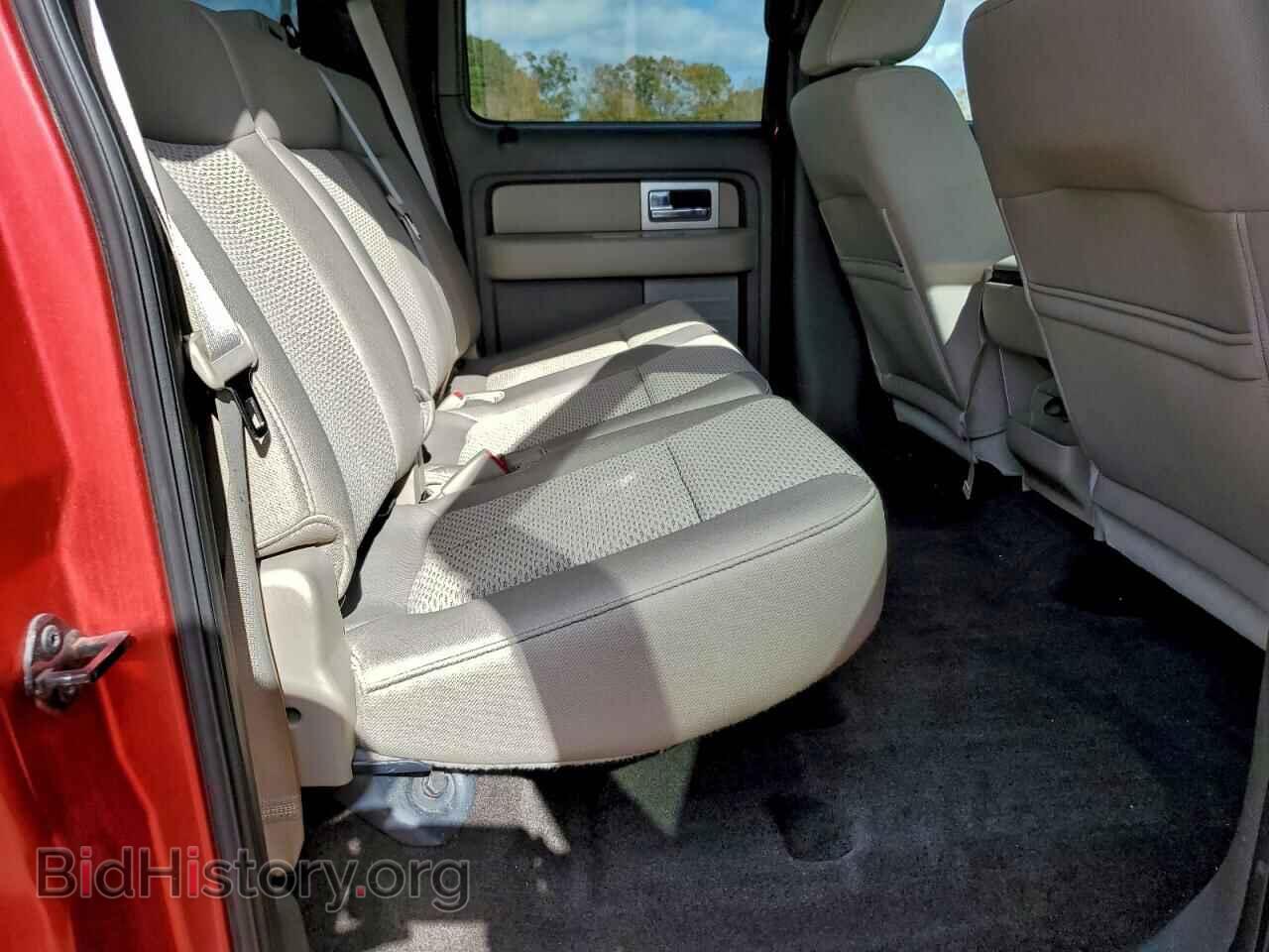 2010 FORD F-150 - VIN: 1FTFW1EV3AFA12449 - Фото 10