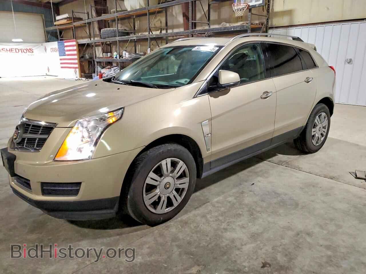 Фотография 3GYFNAEY6AS649709 - CADILLAC SRX 2010