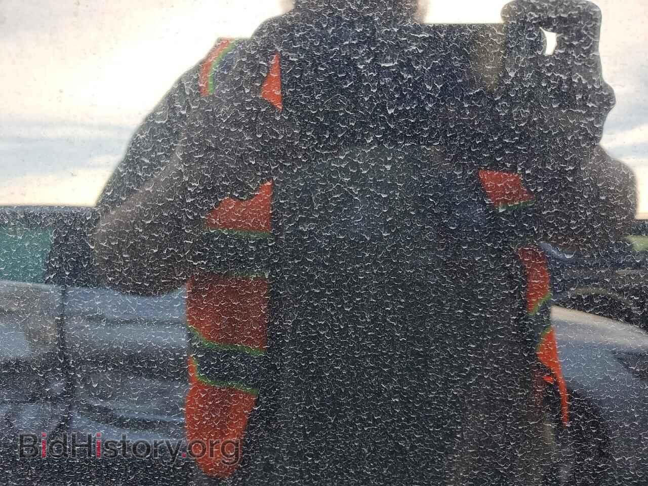 2023 TESLA MODEL 3 - VIN: 5YJ3E1EC0PF608846 - Photo 10