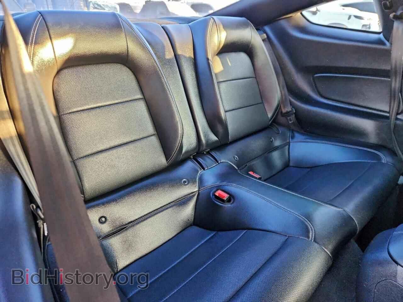 2019 FORD ALL Models - VIN: 1FA6P8TH1K5152791 - Фото 10