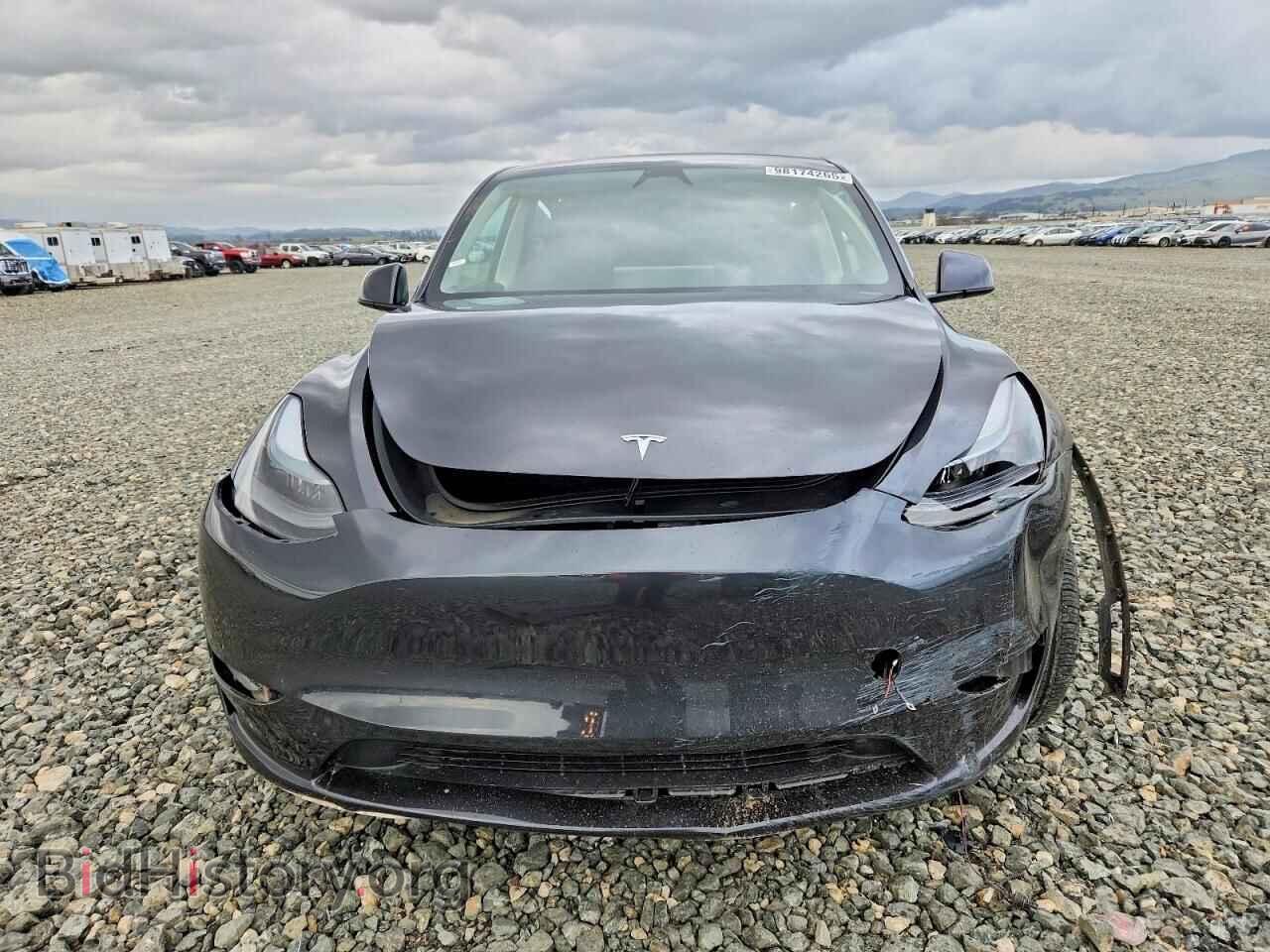 2025 TESLA MODEL Y - VIN: 7SAYGDED9SF272524 - Фото 5