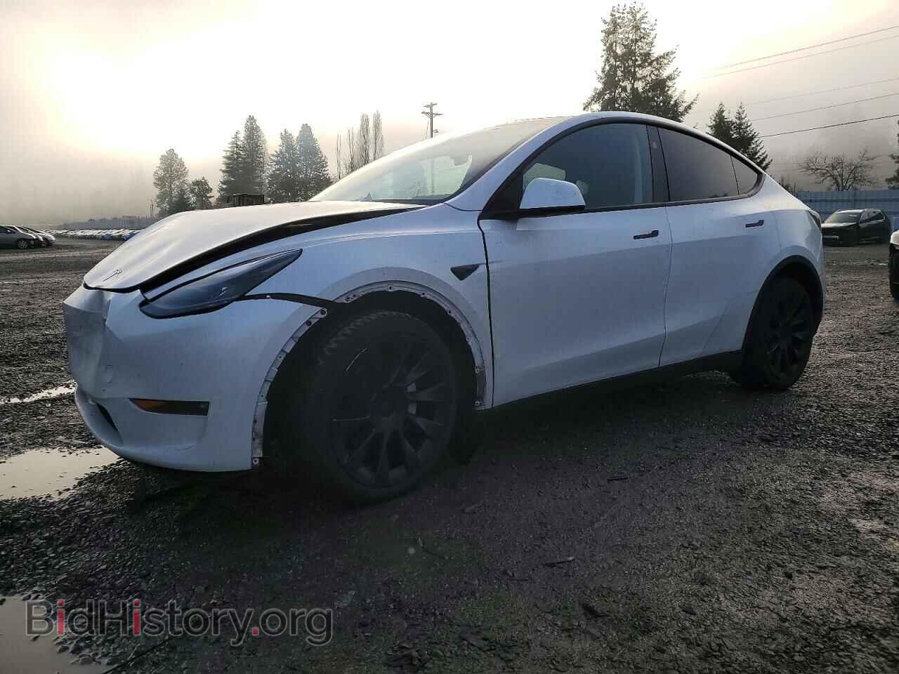 Photo 7SAYGDEE7PF859899 - TESLA MODEL Y 2023
