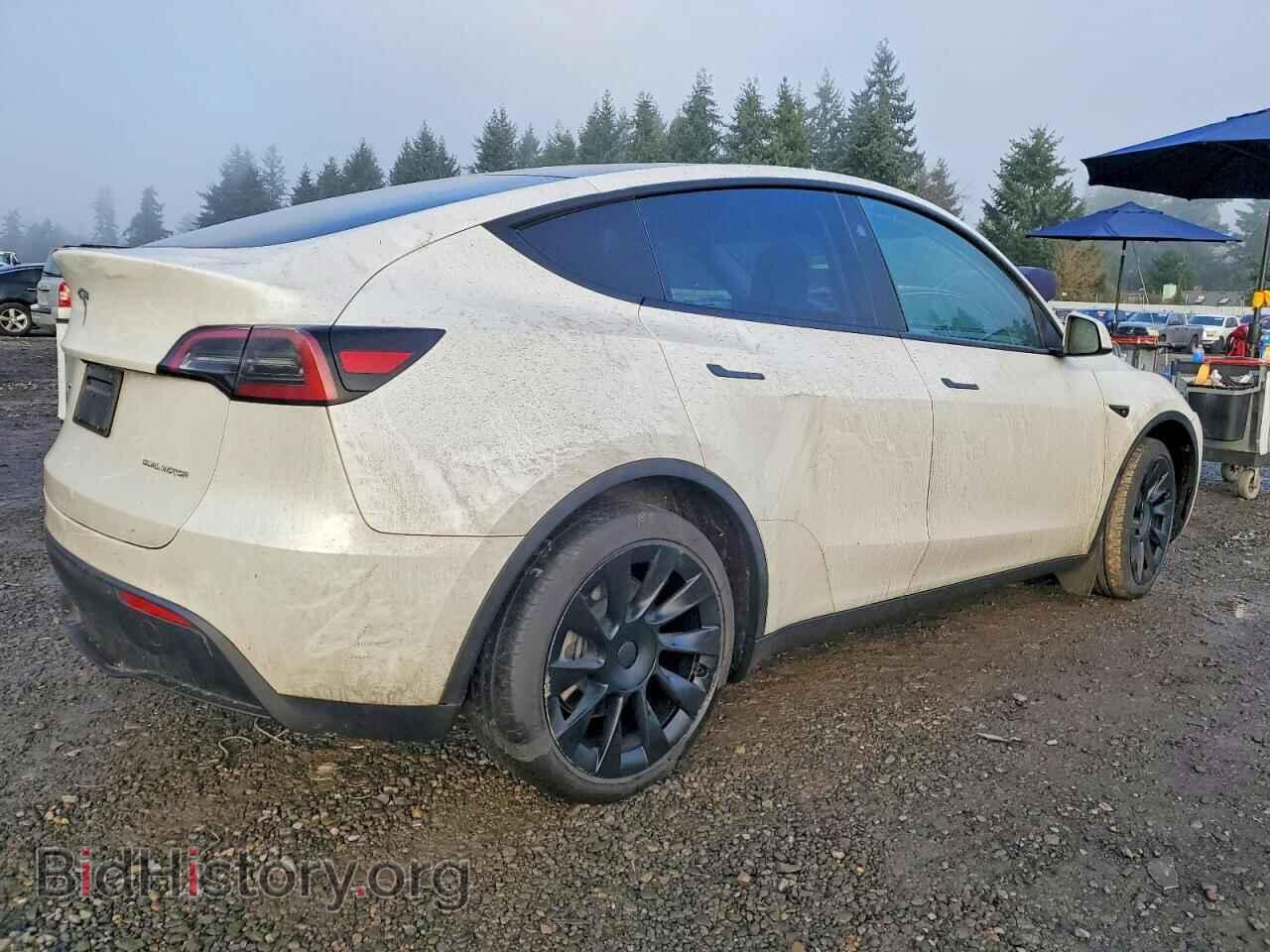 2023 TESLA MODEL Y - VIN: 7SAYGDEE7PF859899 - Photo 3