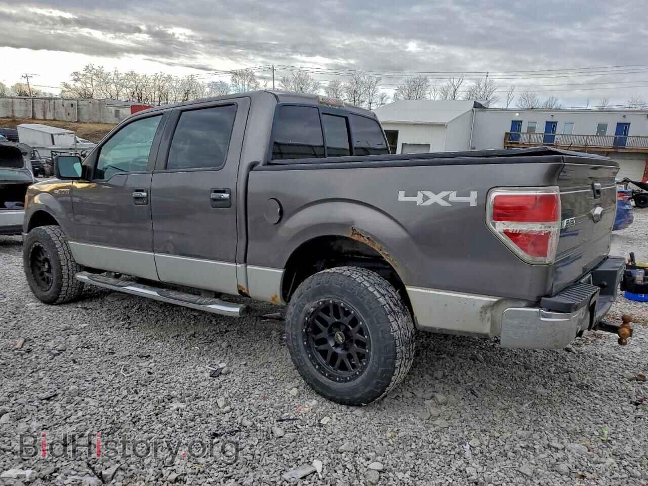 2010 FORD F-150 - VIN: 1FTFW1EV1AFA55025 - Фото 2