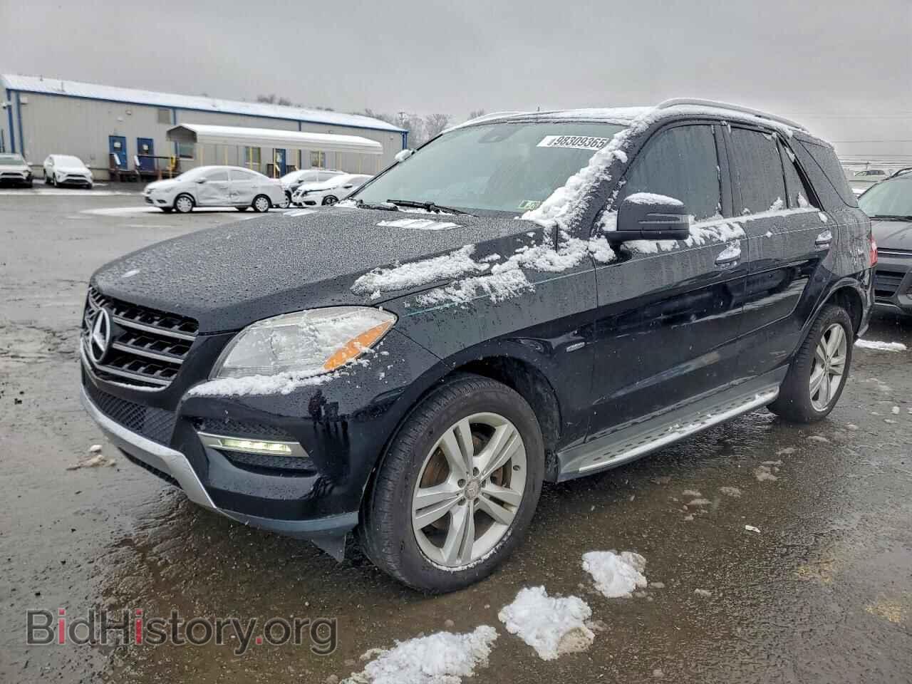 Photo 4JGDA5HB6CA044449 - MERCEDES-BENZ M-CLASS 2012