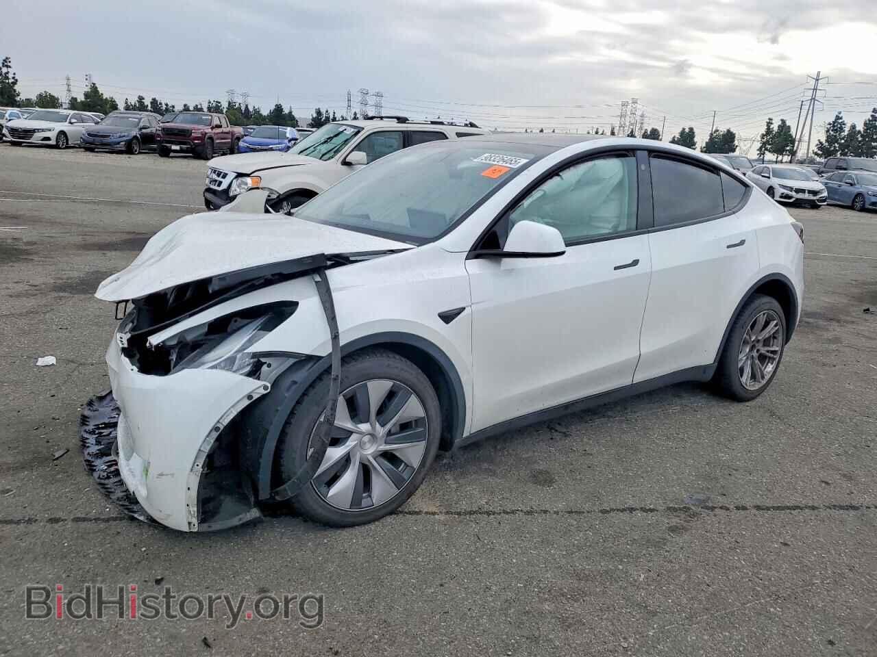 Photo 7SAYGDEE9PF611069 - TESLA MODEL Y 2023