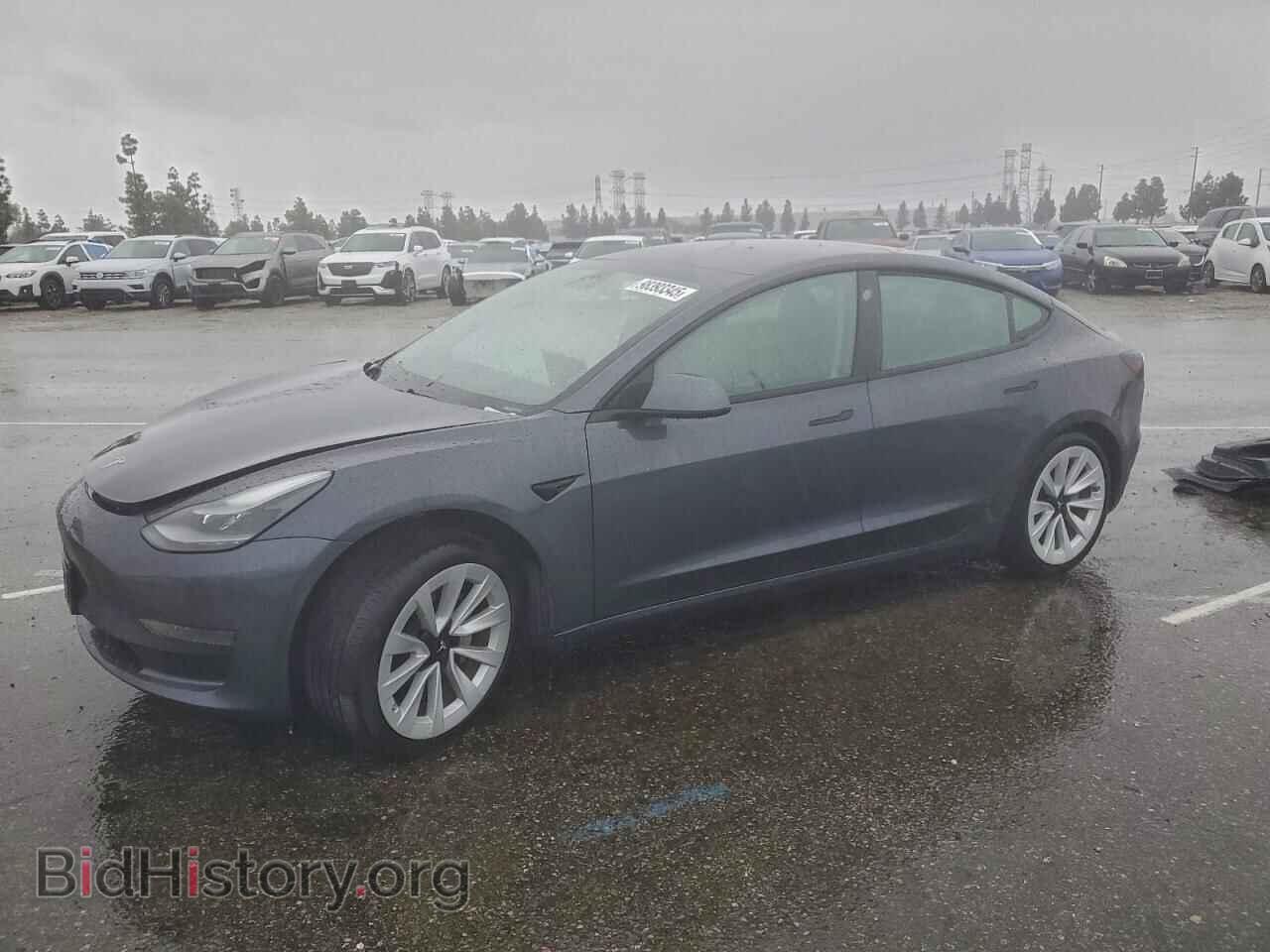 Photo 5YJ3E1EA8MF996323 - TESLA MODEL 3 2021