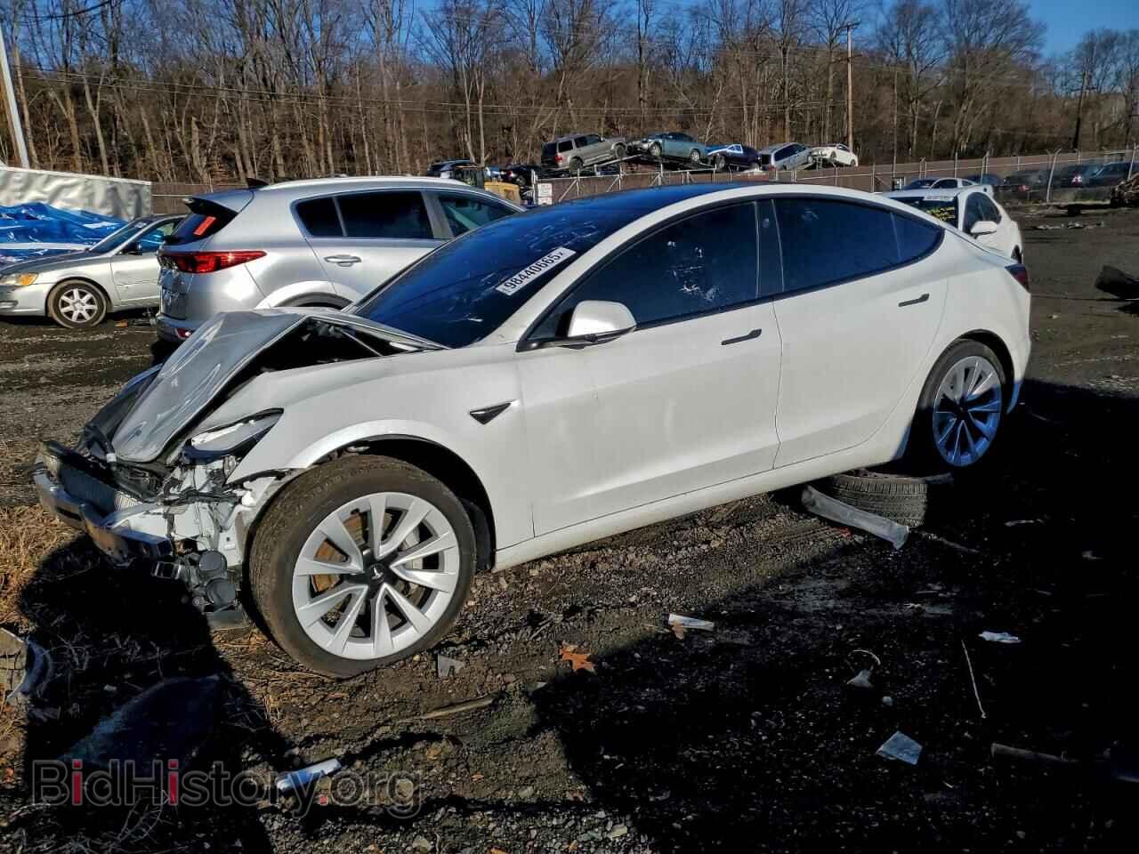 Photo 5YJ3E1EA8NF186644 - TESLA MODEL 3 2022