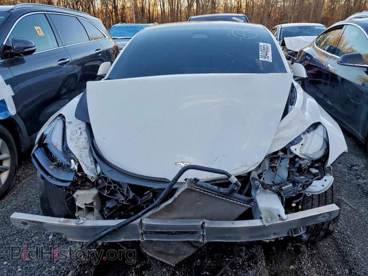 2022 TESLA MODEL 3 - VIN: 5YJ3E1EA8NF186644 - Photo 5