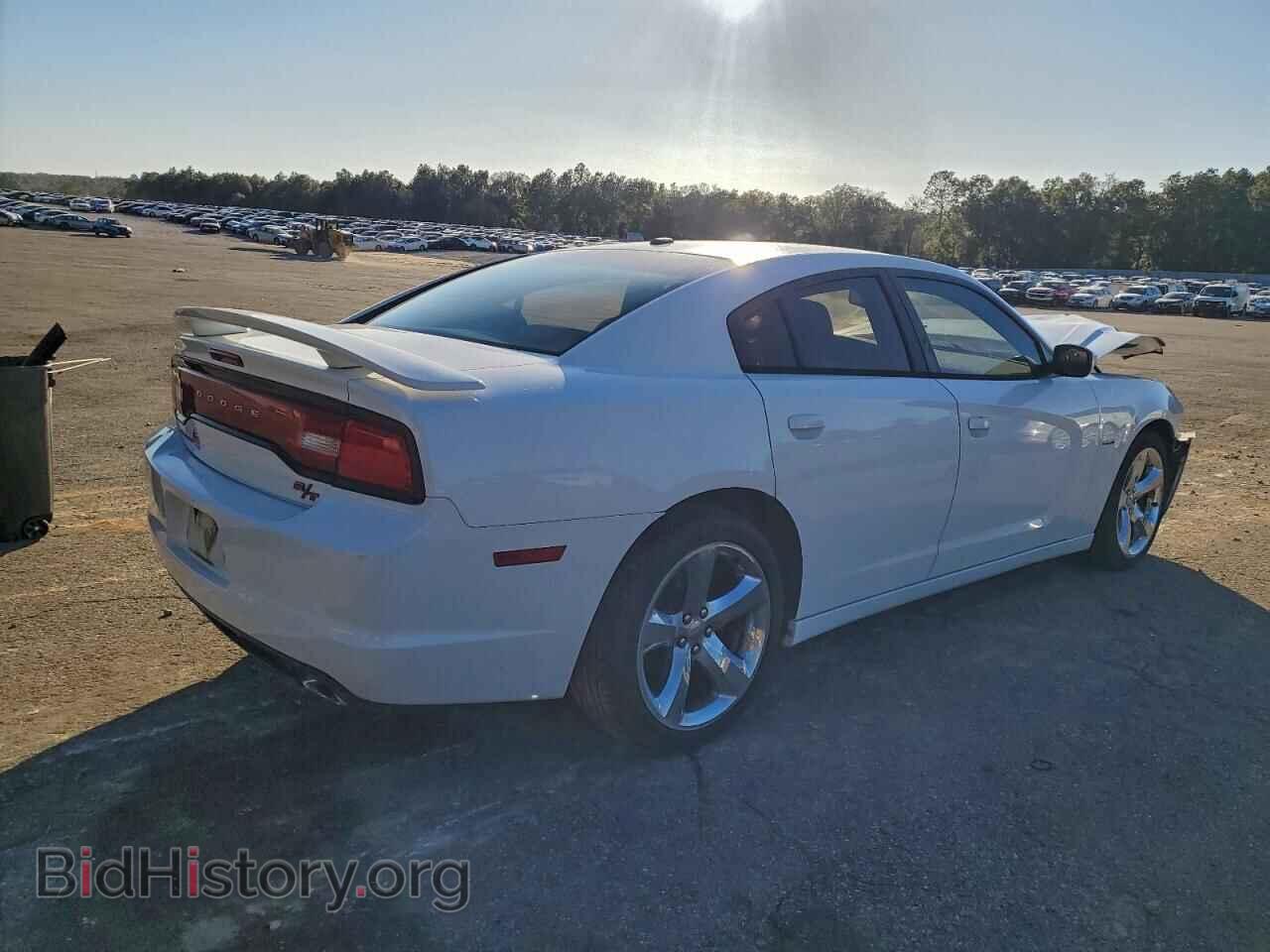 2013 DODGE CHARGER - VIN: 2C3CDXCT2DH729963 - Фото 3
