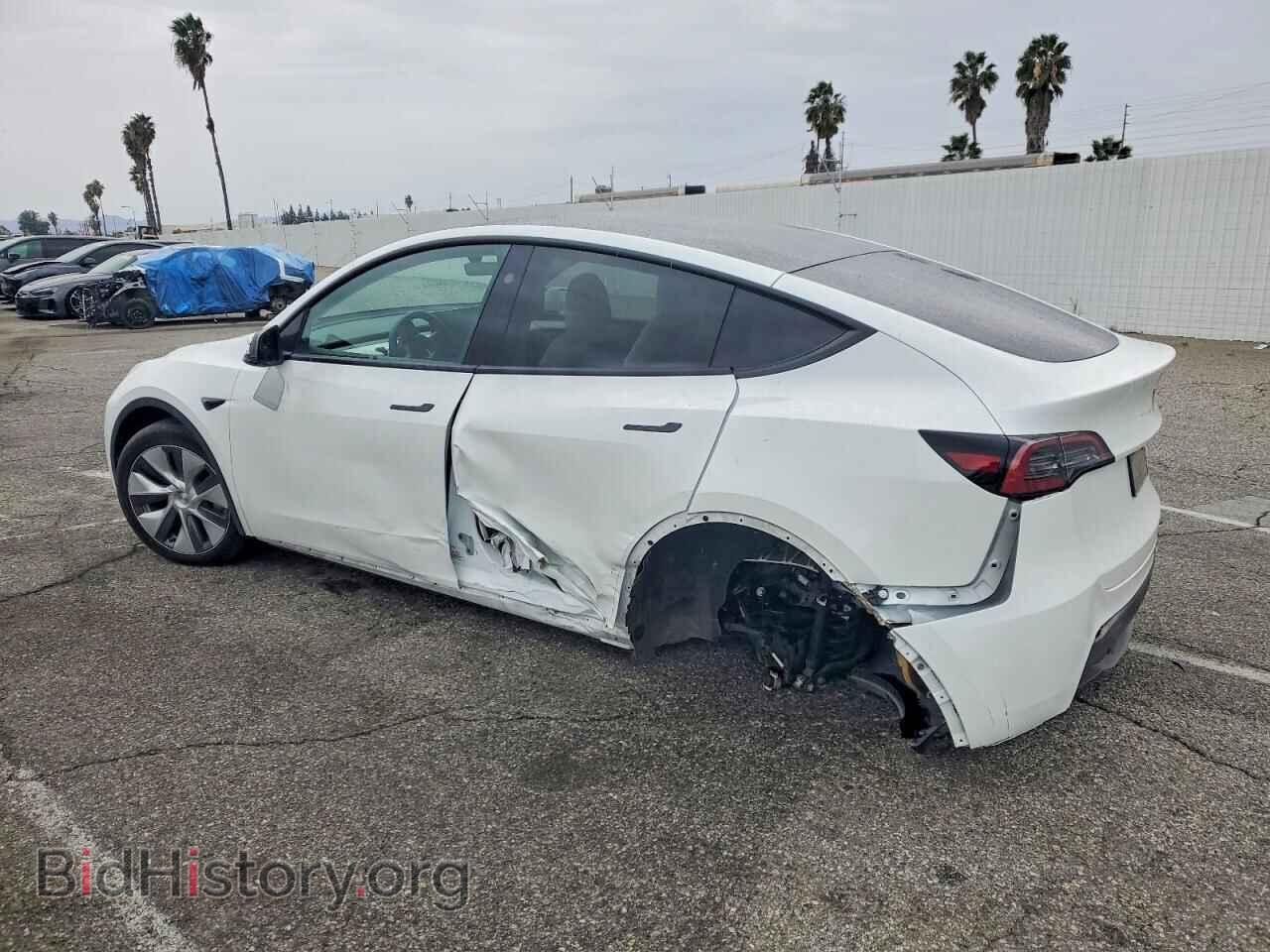 2024 TESLA MODEL Y - VIN: 7SAYGDED7RF096969 - Фото 2
