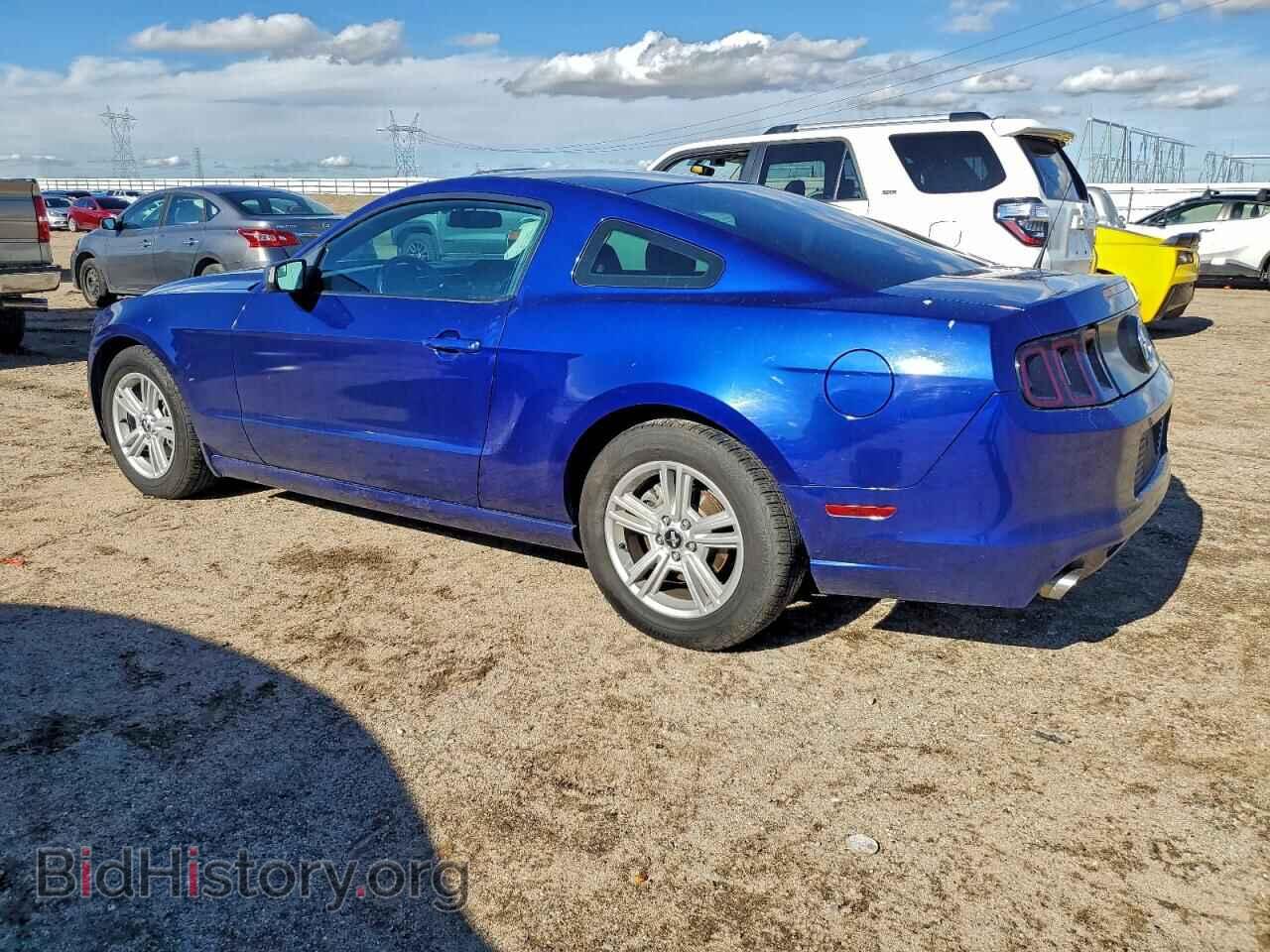 2013 FORD ALL Models - VIN: 1ZVBP8AM9D5257247 - Фото 2