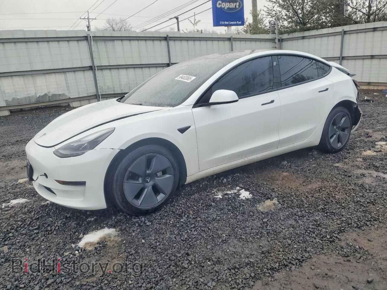Photo 5YJ3E1EA8PF506810 - TESLA MODEL 3 2023