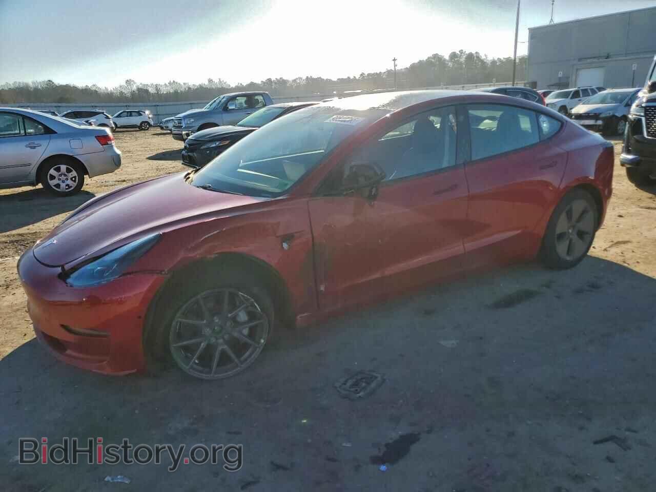 Photo 5YJ3E1EB5MF984316 - TESLA MODEL 3 2021