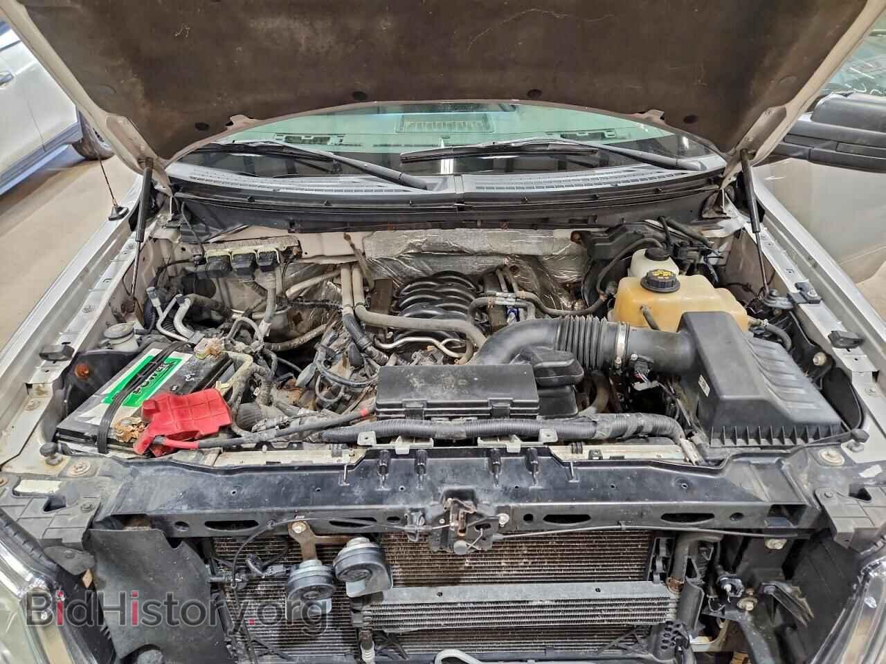 2013 FORD F-150 - VIN: 1FTFX1EFXDFA08649 - Фото 11