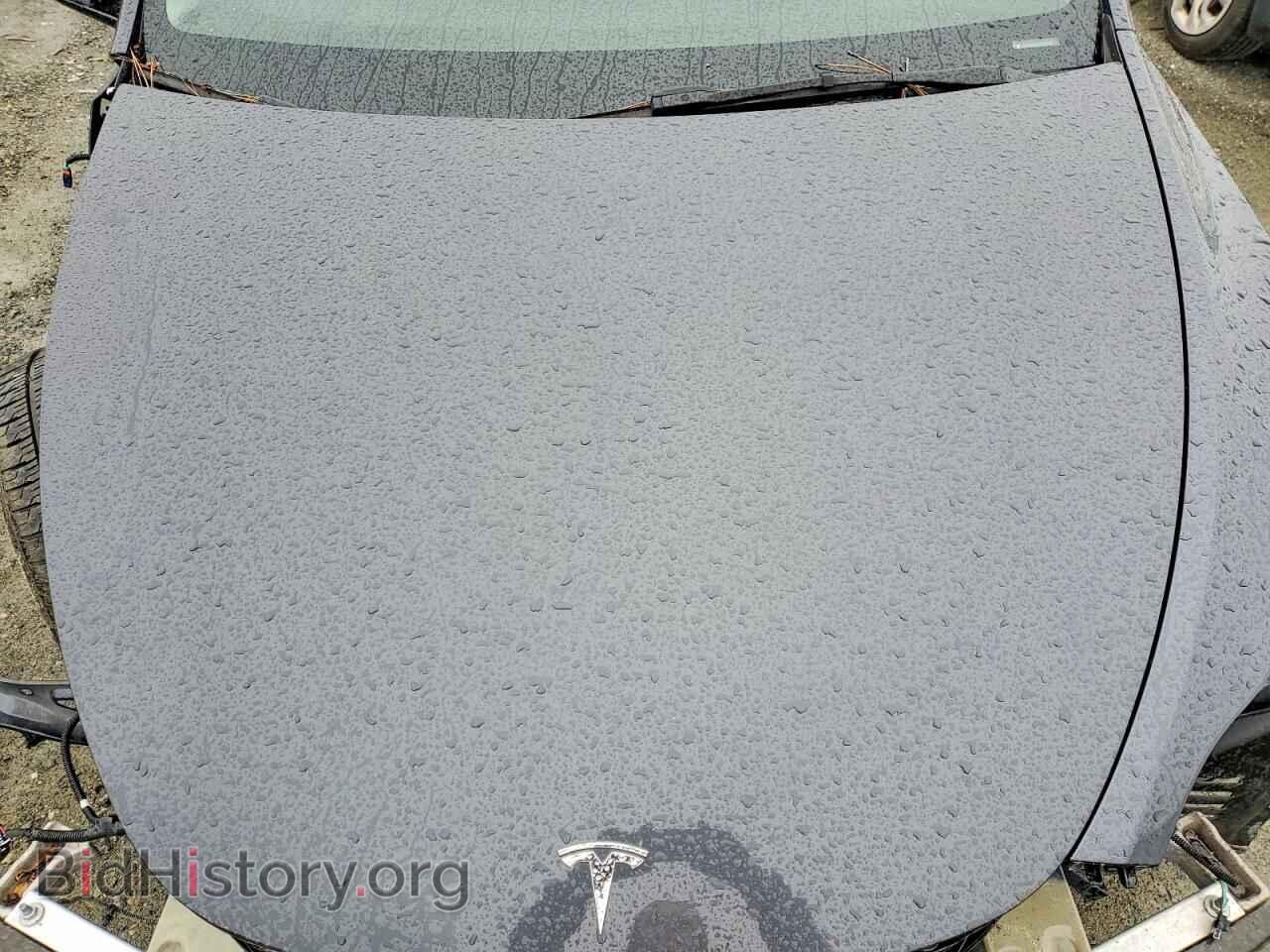 2024 TESLA MODEL Y - VIN: 7SAYGDEE9RF010019 - Фото 11