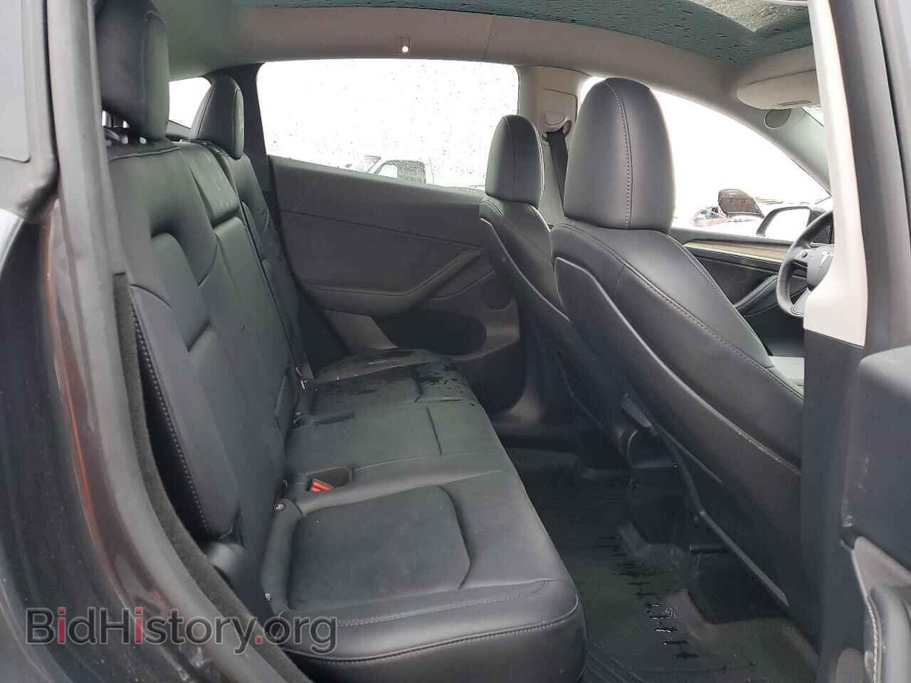 2024 TESLA MODEL Y - VIN: 7SAYGDEE9RF010019 - Фото 10