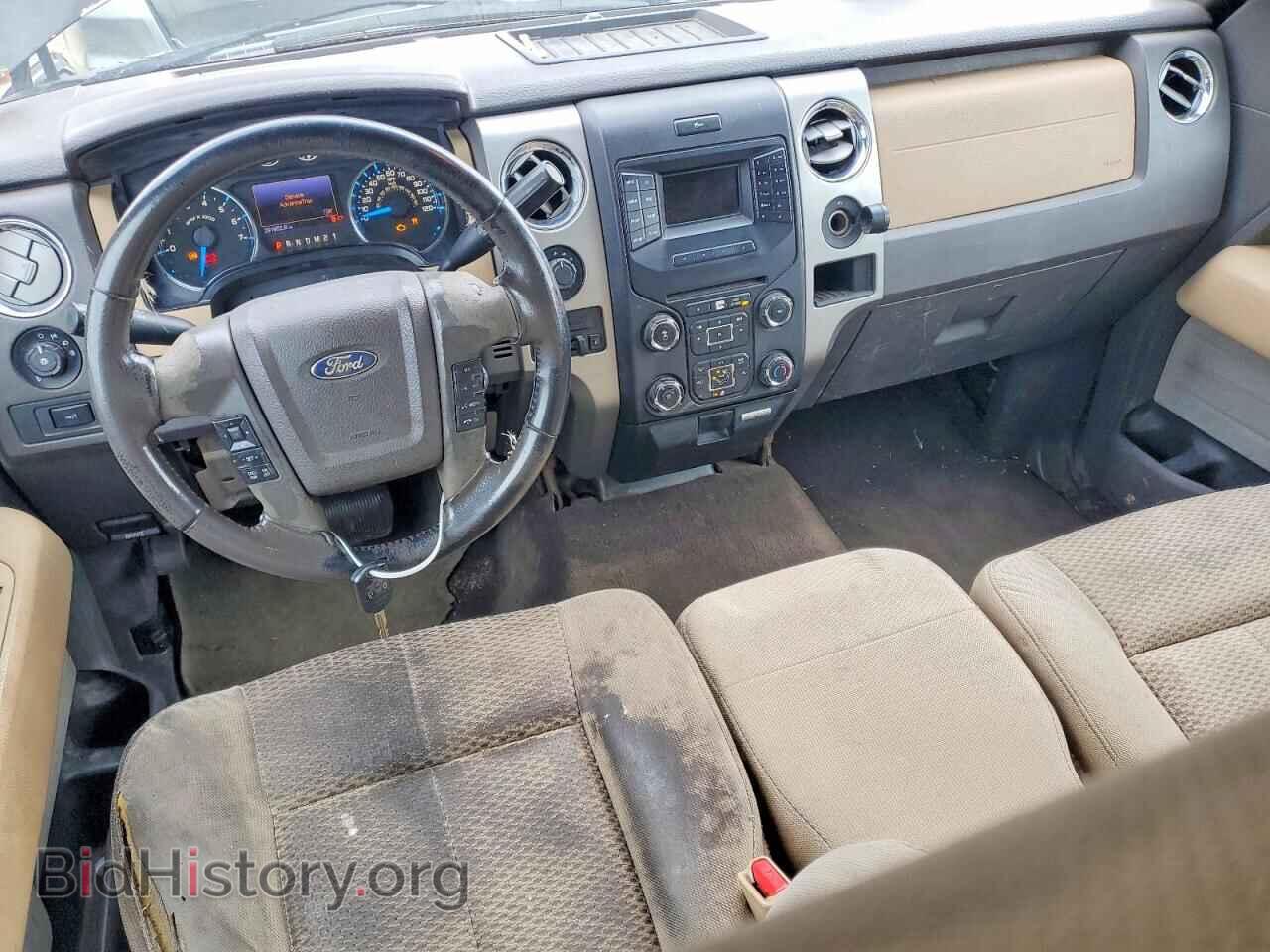 2013 FORD F-150 - VIN: 1FTFW1EF8DKD36789 - Фото 8