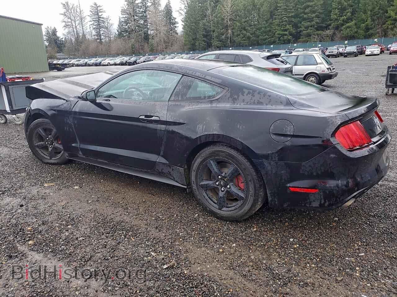 2015 FORD ALL Models - VIN: 1FA6P8AM9F5378518 - Фото 2