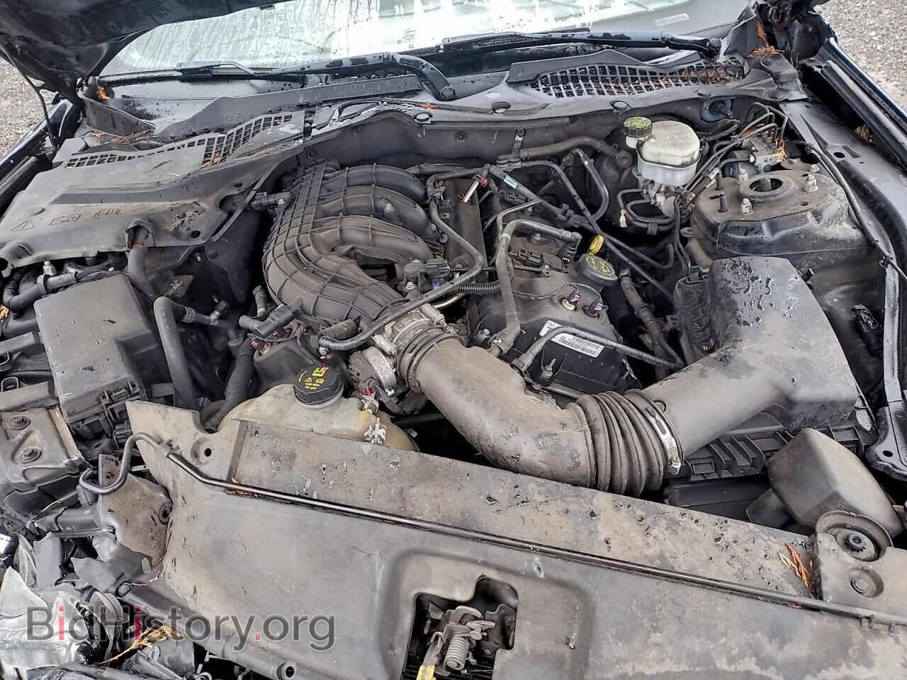 2015 FORD ALL Models - VIN: 1FA6P8AM9F5378518 - Фото 11