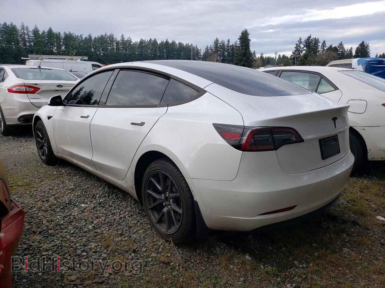 2023 TESLA MODEL 3 - VIN: 5YJ3E1EA1PF598097 - Photo 2