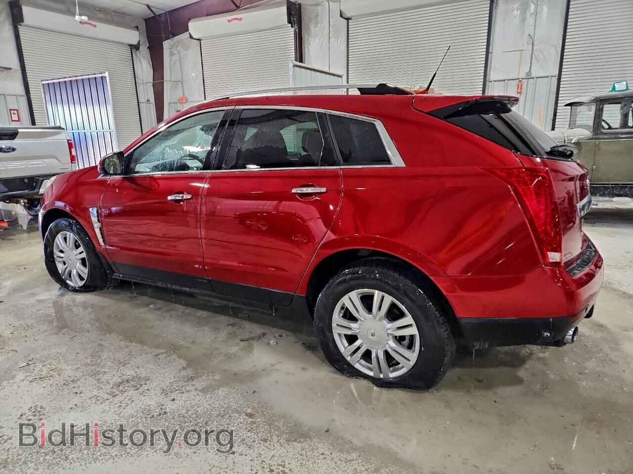 2011 CADILLAC SRX - VIN: 3GYFNDEY1BS542814 - Фото 2