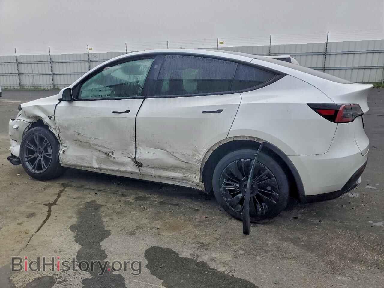 2024 TESLA MODEL Y - VIN: 7SAYGDED9RF110760 - Фото 2