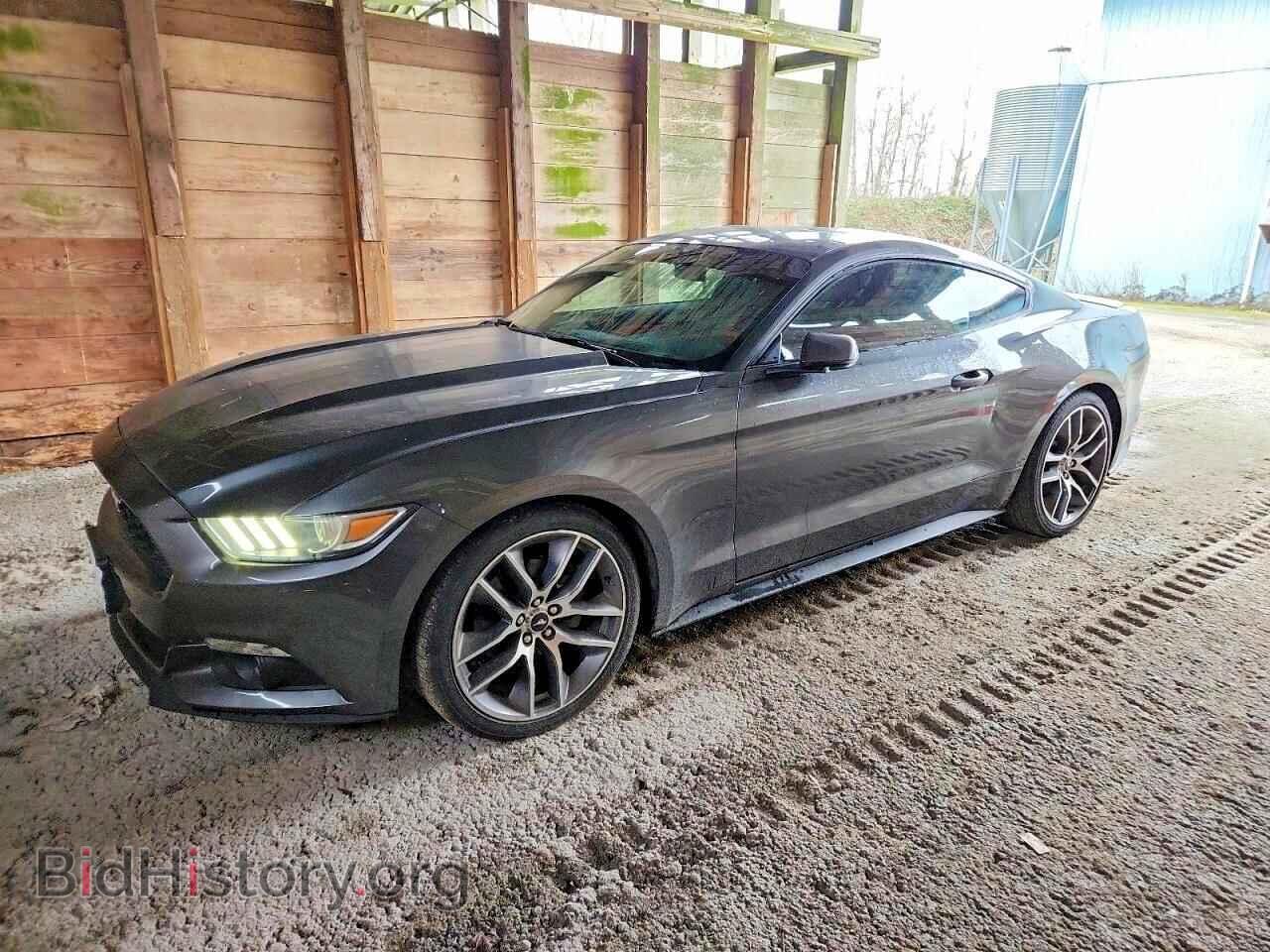 Photo 1FA6P8TH9H5341147 - FORD ALL Models 2017