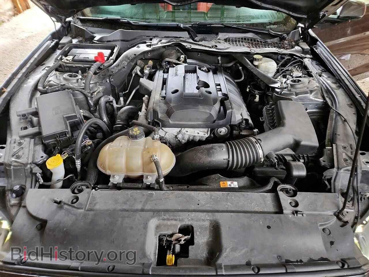 2017 FORD ALL Models - VIN: 1FA6P8TH9H5341147 - Photo 12