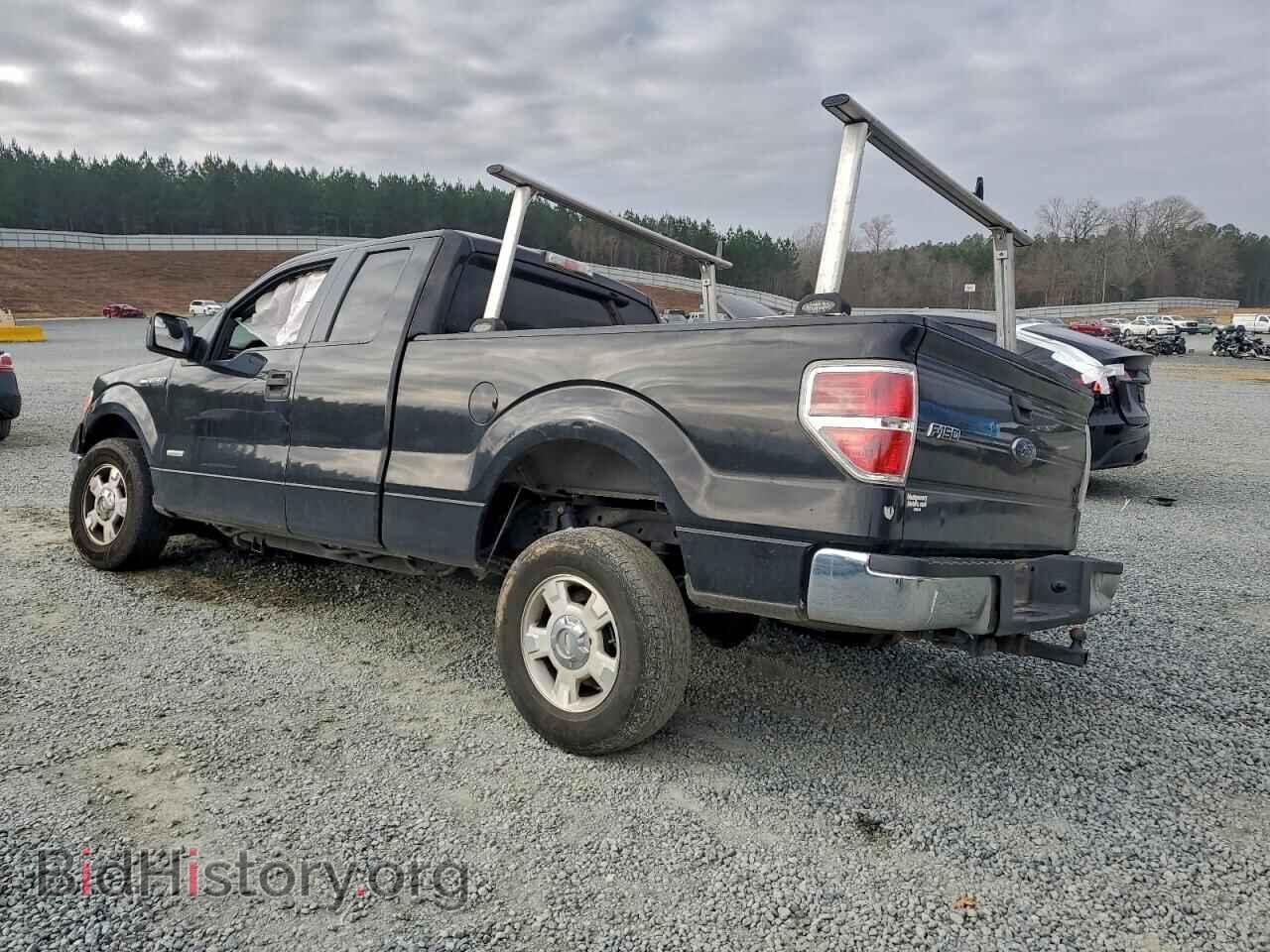 2013 FORD F-150 - VIN: 1FTFX1CT3DFC84616 - Фото 2