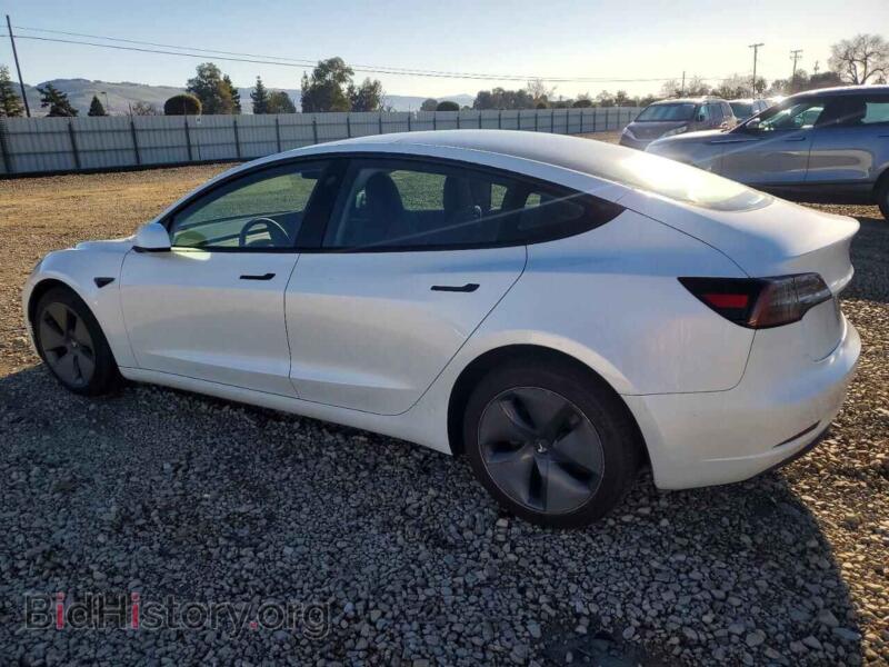 2023 Tesla MODEL 3 (VIN 5YJ3E1EA6PF497475) — фото 2 из 14
