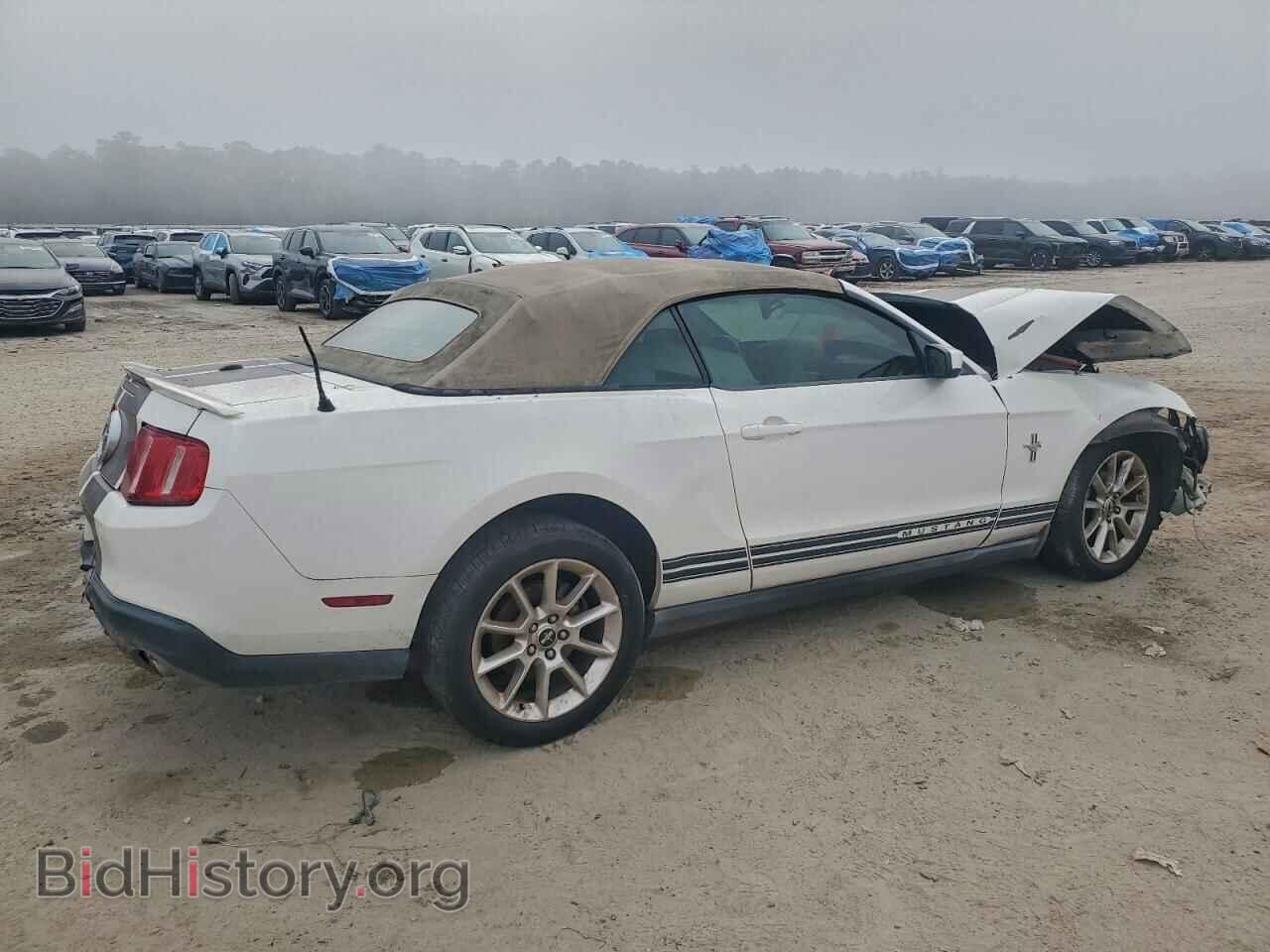 2010 FORD ALL Models - VIN: 1ZVBP8EN5A5134009 - Фото 3