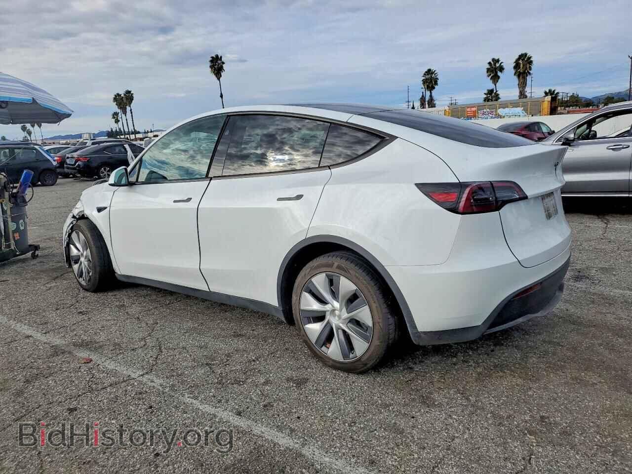2023 TESLA MODEL Y - VIN: 7SAYGDEE4PF869659 - Фото 2