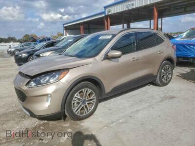 2020 Ford ESCAPE SEL, светло-коричневый — VIN 1FMCU0H61LUA94070, Copart