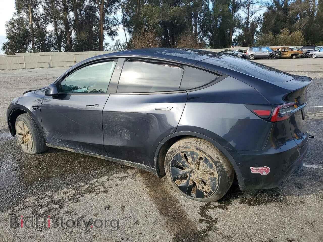 2024 TESLA MODEL Y - VIN: 7SAYGDED0RF177408 - Фото 2