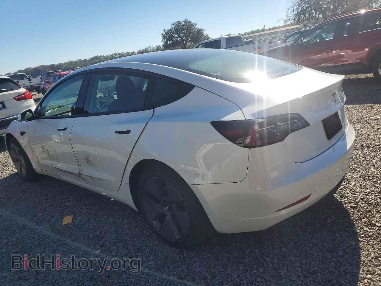 2023 TESLA MODEL 3 - VIN: 5YJ3E1EA0PF501634 - Фото 2