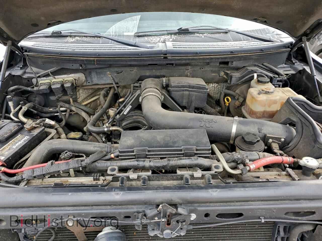 2010 FORD F-150 - VIN: 1FTFW1EV7AFA50542 - Фото 11
