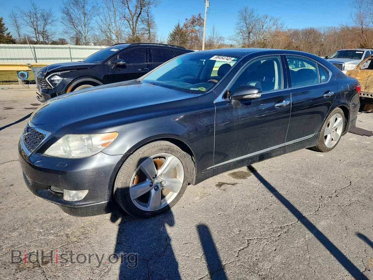 Фотография JTHBL5EF2B5106626 - LEXUS LS460 2011