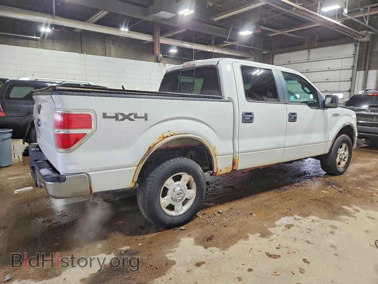 2010 FORD F-150 - VIN: 1FTEW1E85AFA05511 - Фото 3